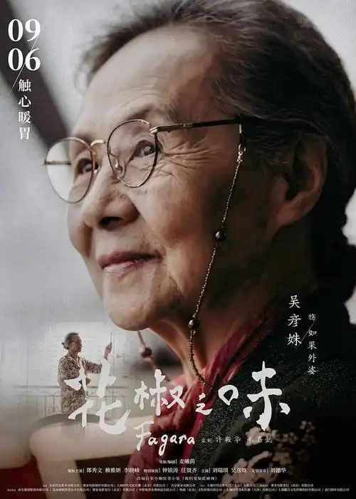 电影在线《雪线以上》动画海报